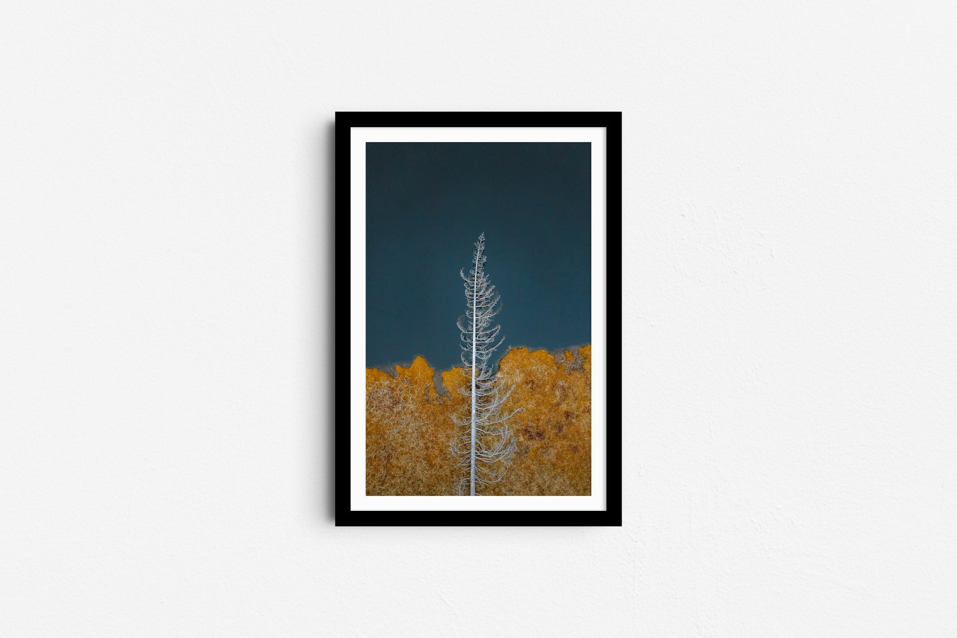 Still standing