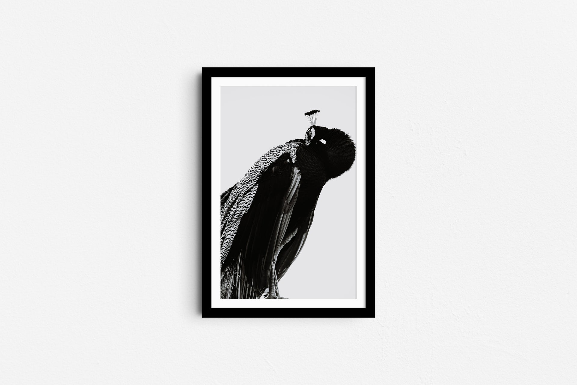 Birdland